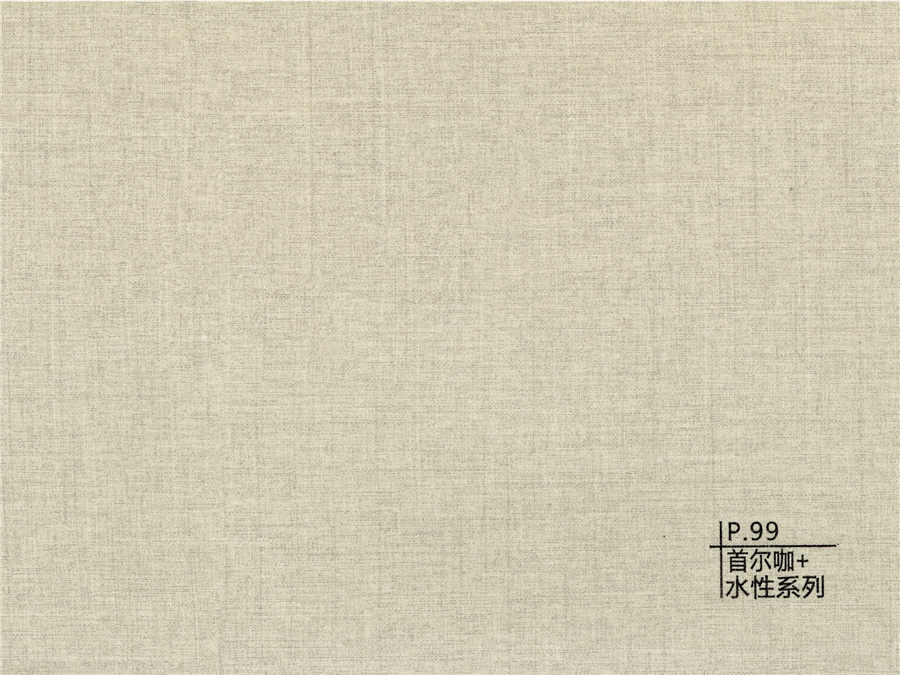 99首爾咖+水性系列